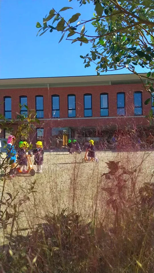 平手幼稚園  新しい園庭で園庭遊び

#平手幼稚園 
#名古屋市緑区 
#こども園 
#園庭遊び 
#植栽